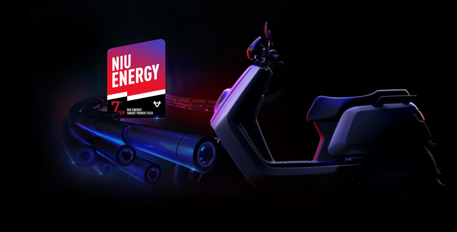 Doppia batteria NIU Energy